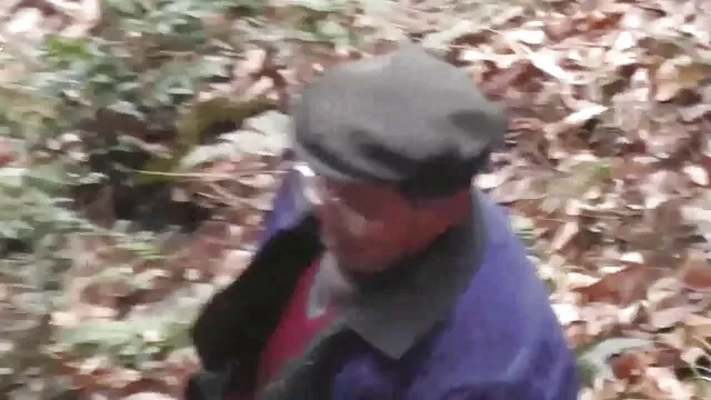 必填请2。 摩洛伊斯兰解放阵线色情管 B部分