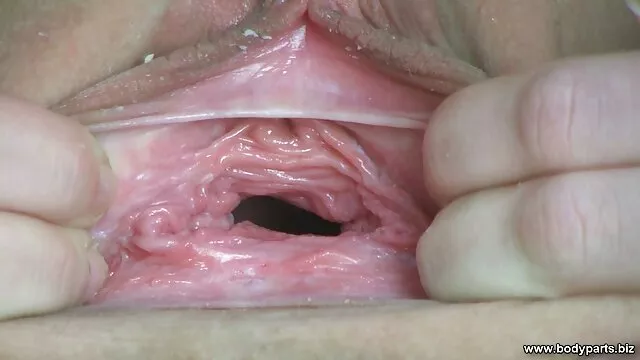 奴隶殴打，折磨1。 B部分 性别性别的视频